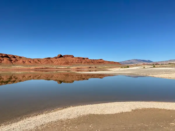 Horseshoe Bend Marina