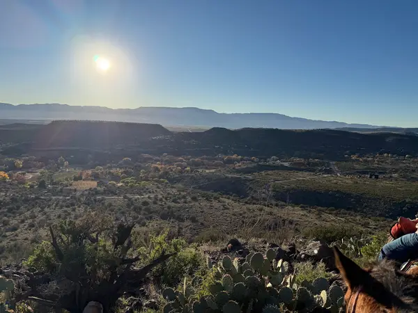 Horsin' Around Adventures, photo 3