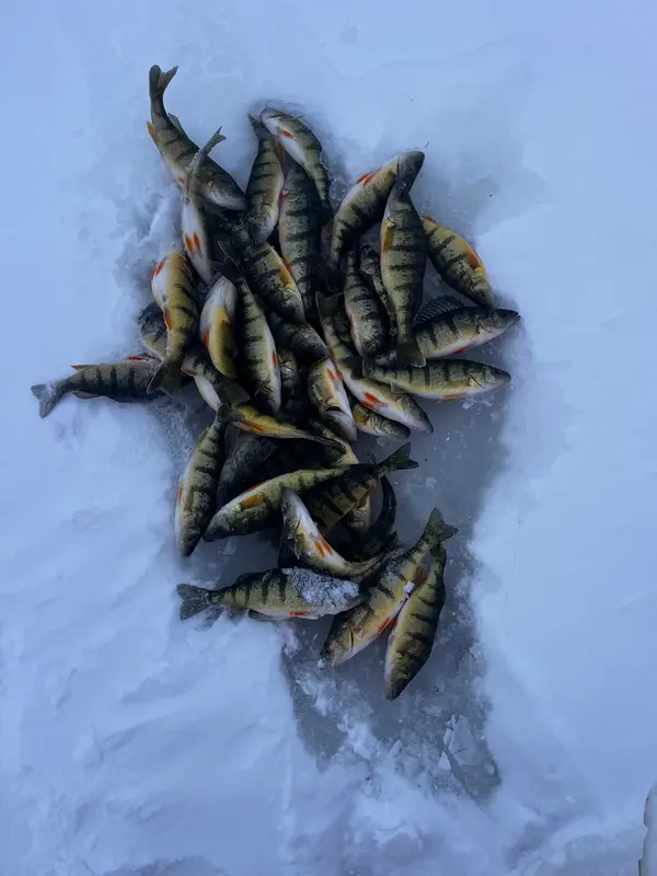 Hot Box Huts Ice Fishing, photo 3