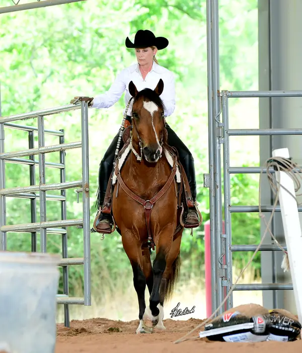 H.O.T. Equestrian Academy