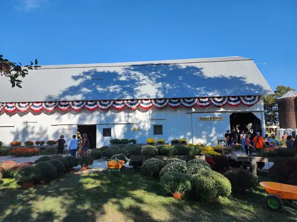 Howell's Greenhouse and Pumpkin Patch, Cumming, IA