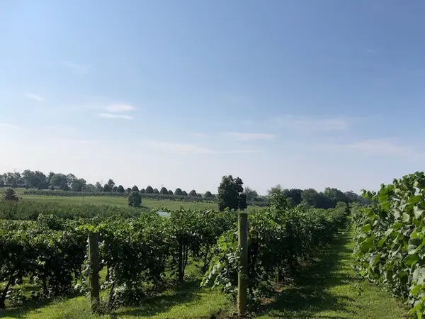 Huber's Orchard & Winery, Borden, IN