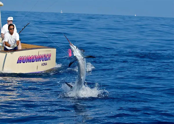 Humdinger Sportfishing, Kailua-Kona, HI