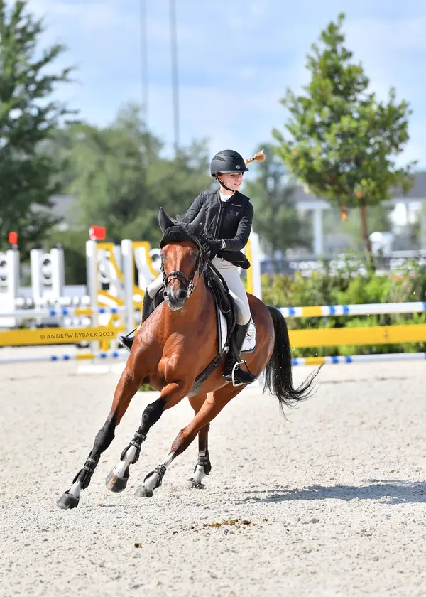 Hunters Run Equestrian Center, photo 2