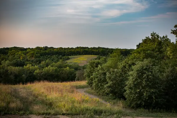 Hunting Iowa Whitetails