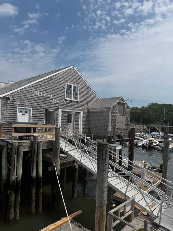 Hyannis Whale Watcher Cruises, Barnstable, MA