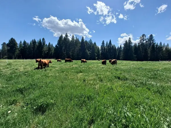 Hymas Family Farm, Bonners Ferry, ID