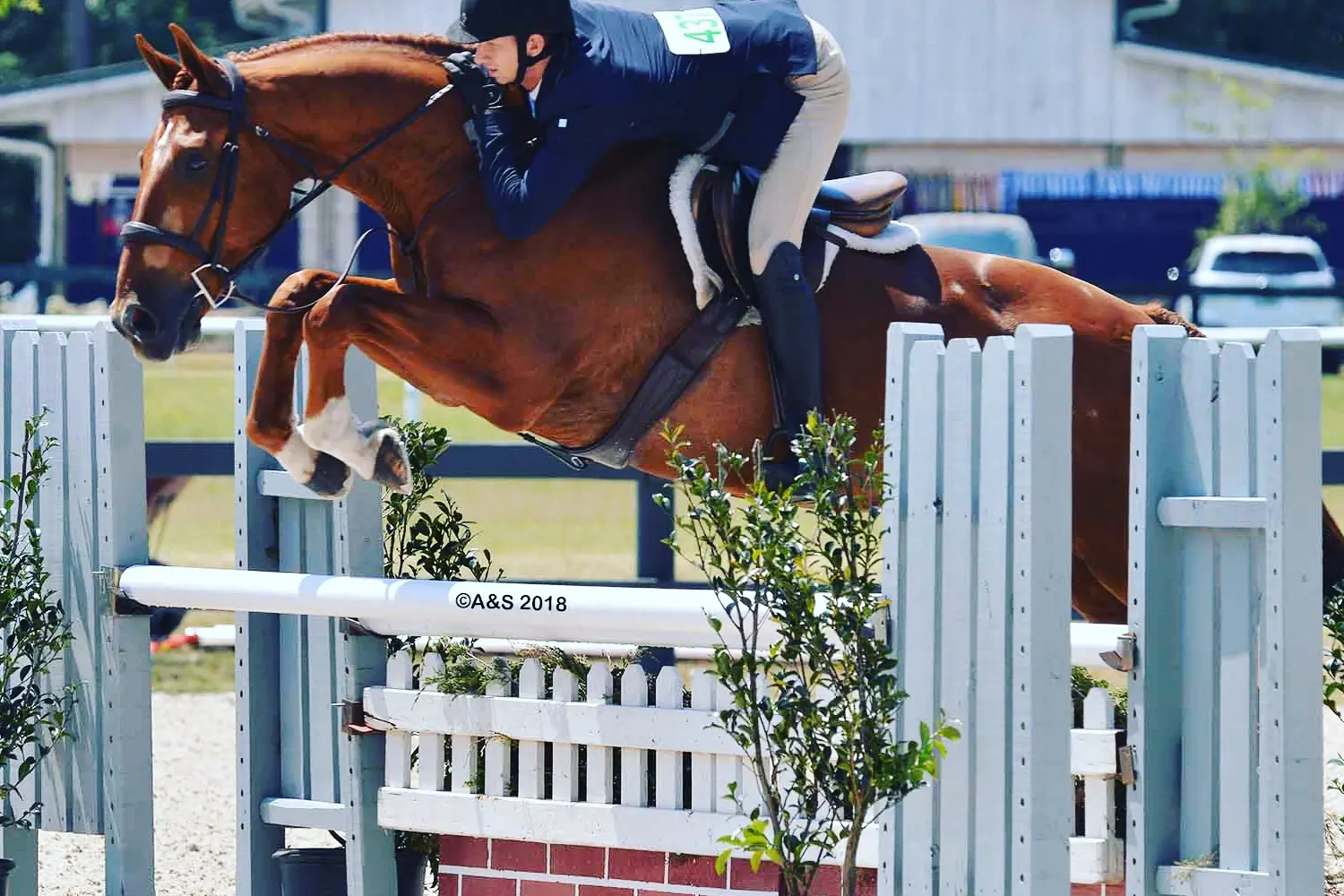 ICE Equestrian Center