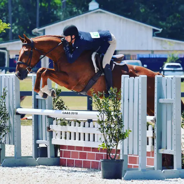 ICE Equestrian Center, photo 2