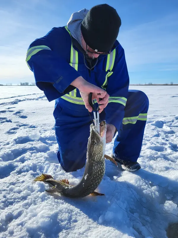 Ice Fishing Calgary, photo 1