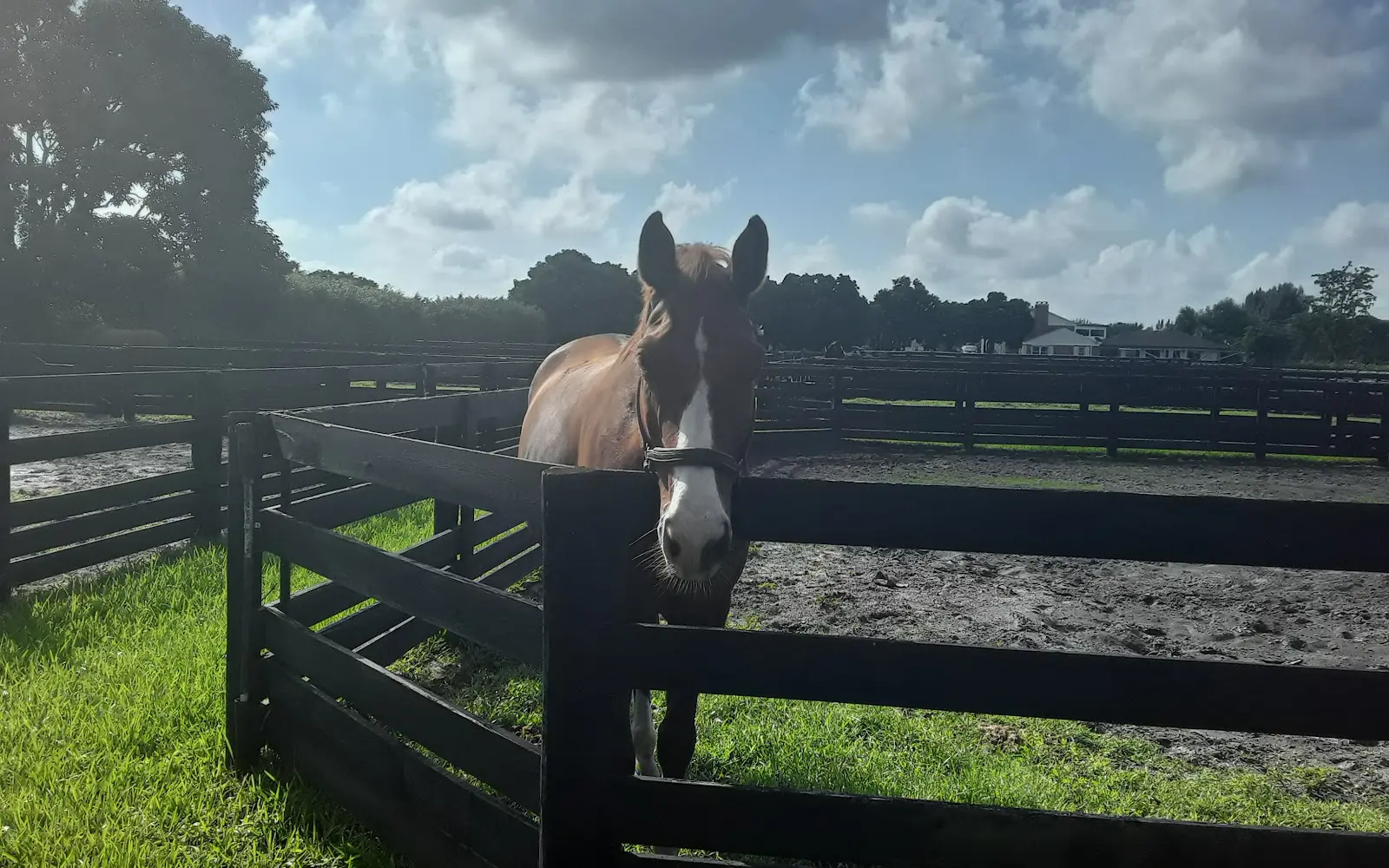 IDA Farm