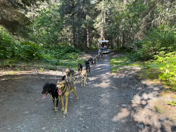 IdidaRide Sled Dog Tours, Seward, AK