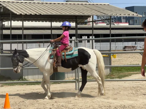 Imperial Equestrian Center, photo 4