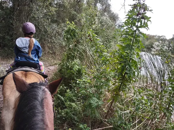 In the Breeze Ranch, photo 1