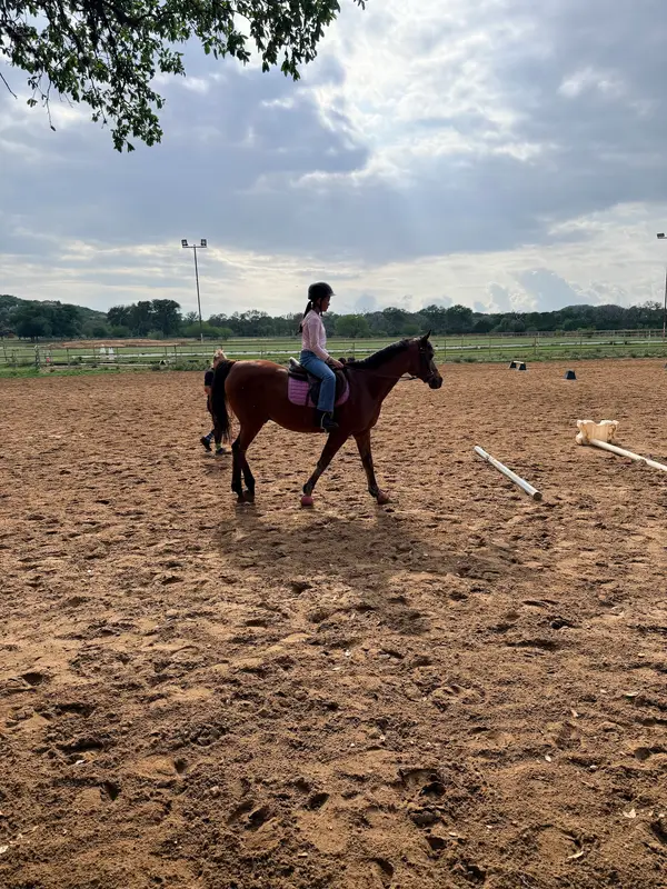 In The Irons Equestrian Center, photo 2
