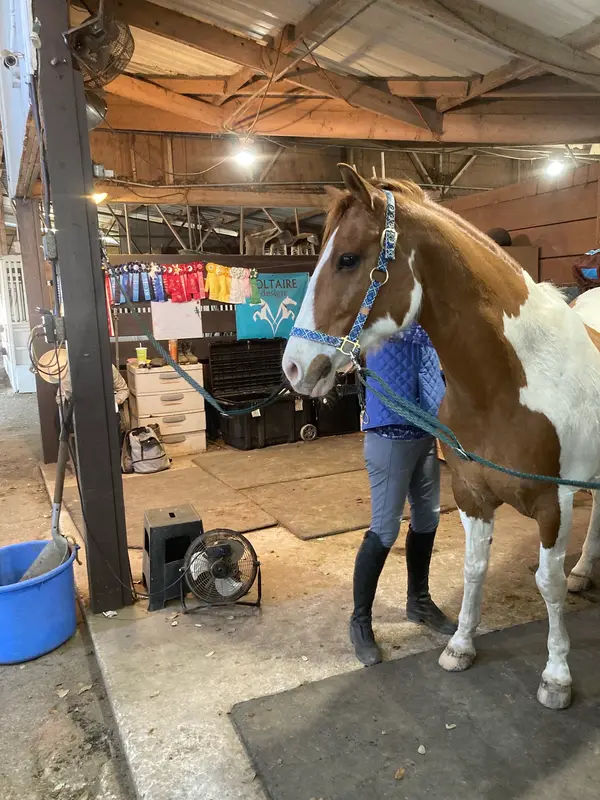 In The Irons Equestrian Center, photo 3