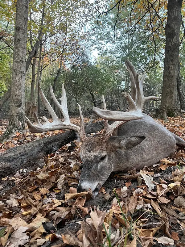 Indiana Trophy Whitetail Hunting