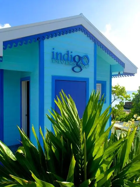 INDIGO DIVERS Grand Cayman