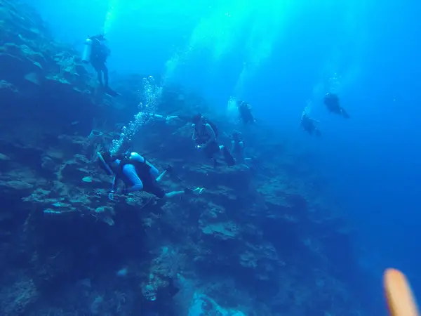 Innerspace Dive Center