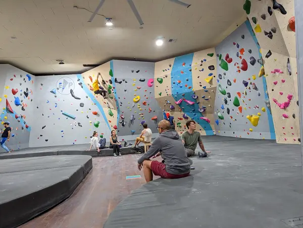 Insight Climbing & Movement