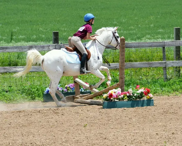 Inspiration Riding Academy, LLC