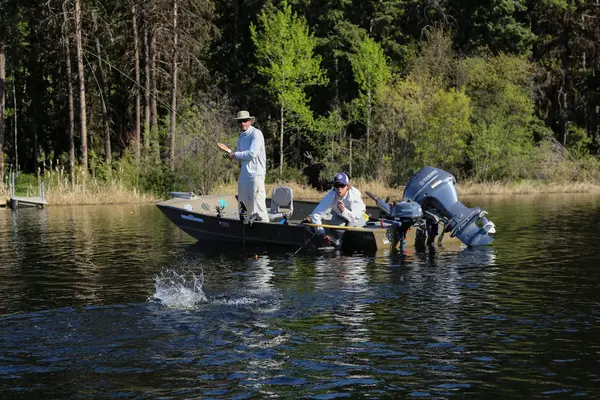 Interior Fly Fishing Co.