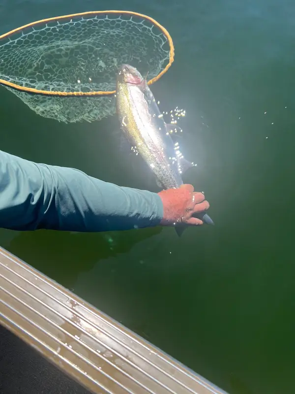 Interior Fly Fishing Co., photo 1