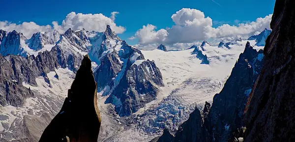 International Alpine Guides