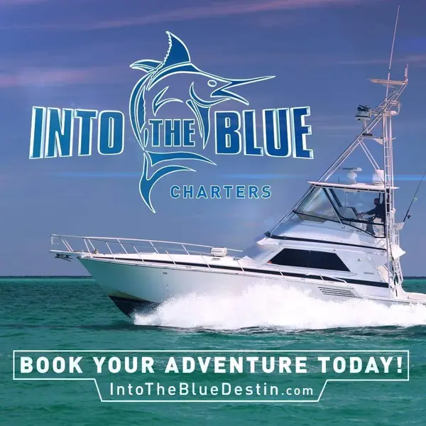 Into The Blue Charters, Destin, FL