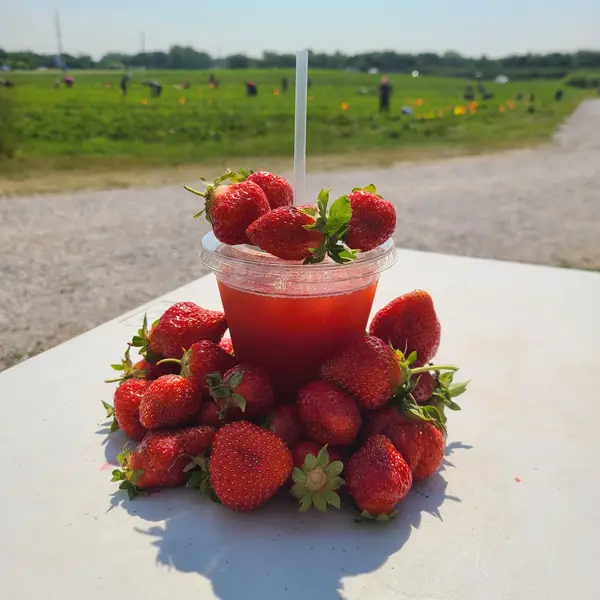 Iowa Orchard U-Pick, Granger, IA