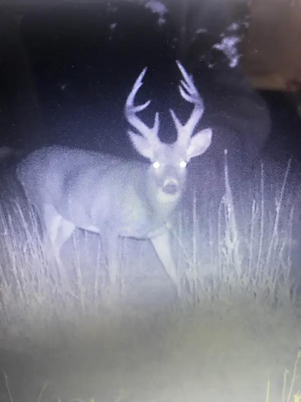 Iowa Trophy Hunting