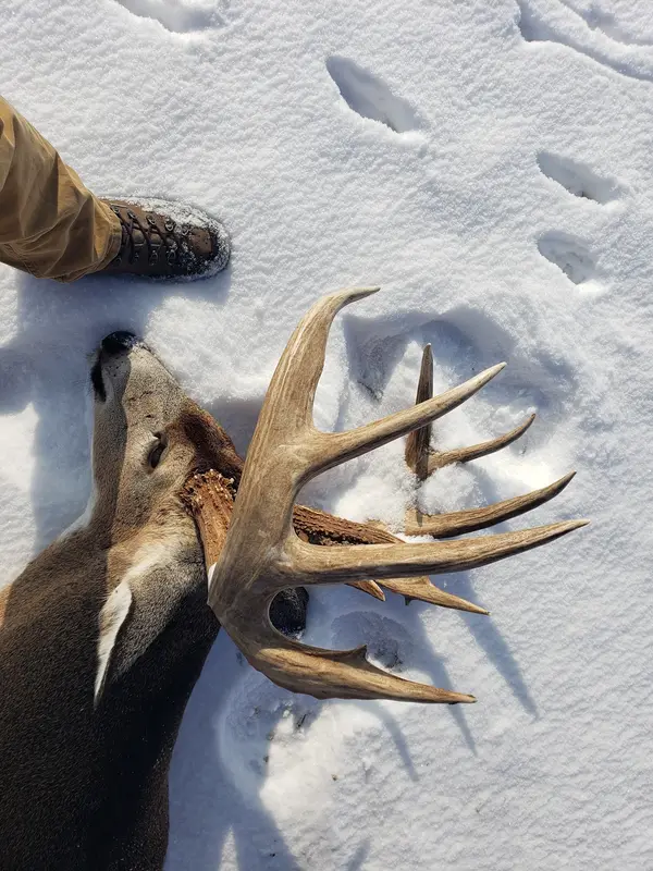 Iowa Trophy Hunts