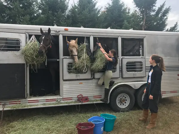 Iron Horse Riding Academy