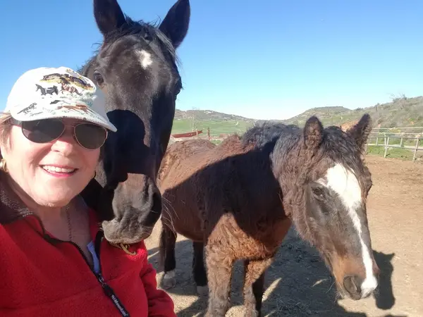 Iron Oak Canyon Ranch, photo 3