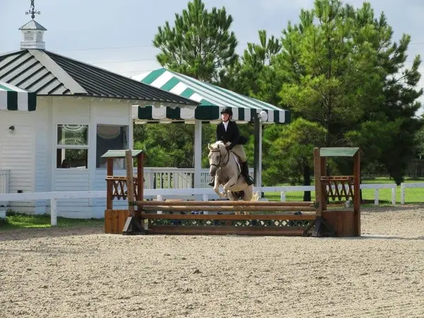 Isi Seiyr Equestrian Riding School