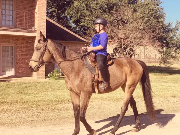 Isi Seiyr Equestrian Riding School, photo 1