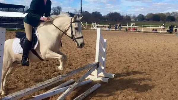 Isi Seiyr Equestrian Riding School, photo 2