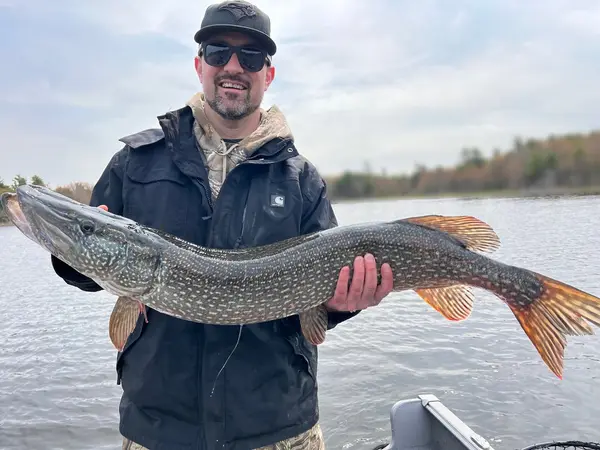 Island Fishing Charters