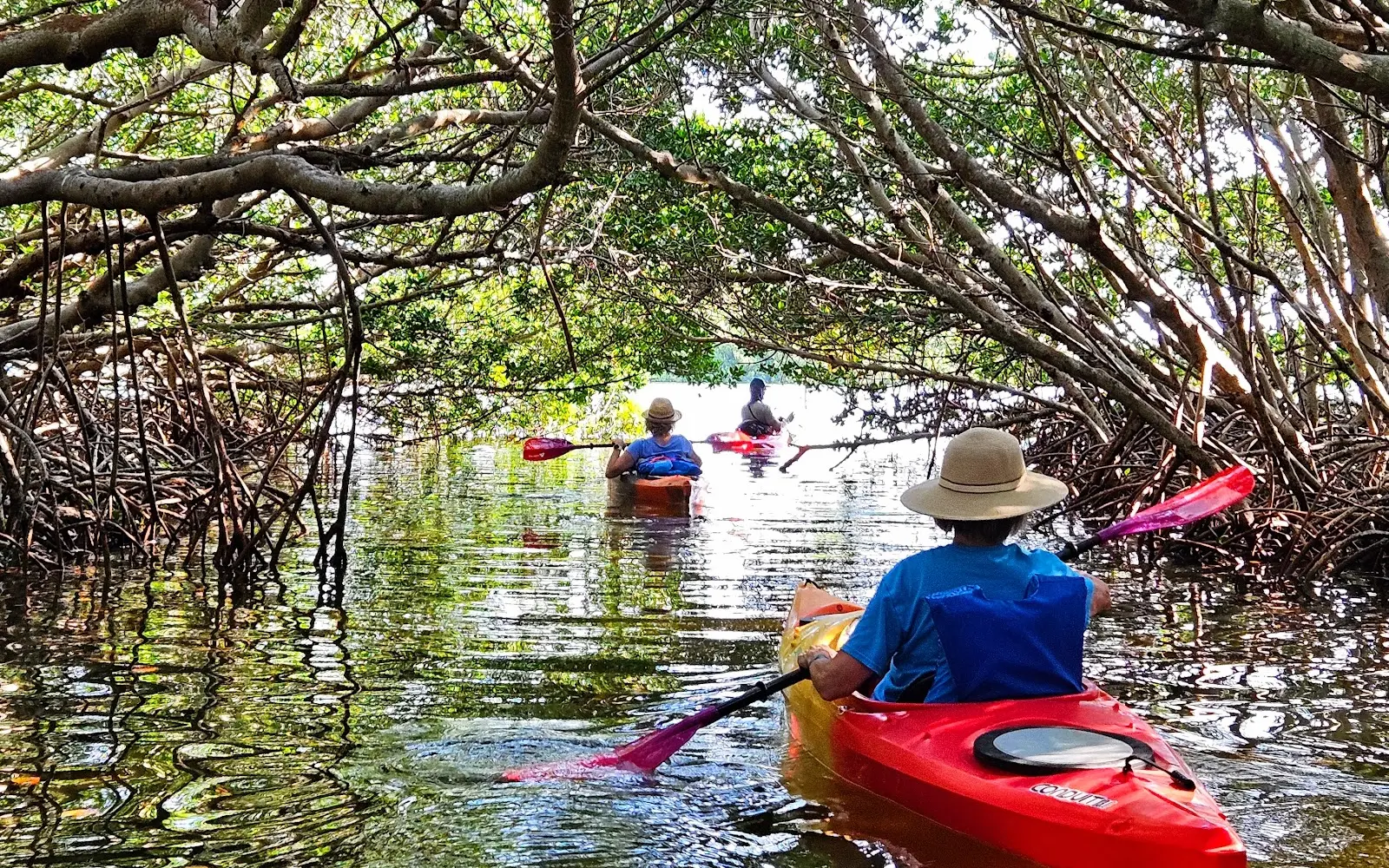 Island Kayak Adventures at Shell Key Preserve