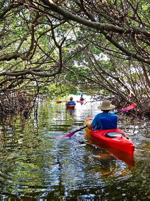 Island Kayak Adventures at Shell Key Preserve
