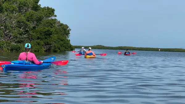 Island Kayak Adventures at Shell Key Preserve, photo 3