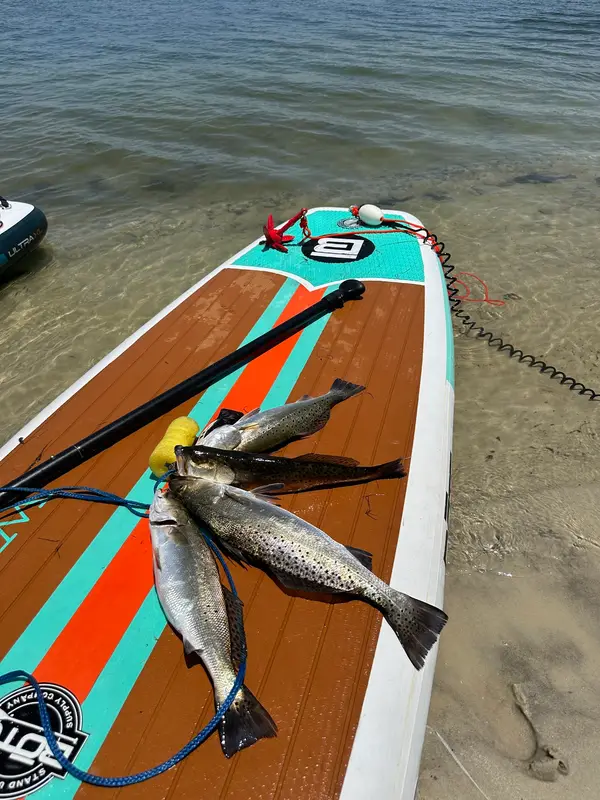Island Life kayak and paddle board rentals, Gulf Shores, AL
