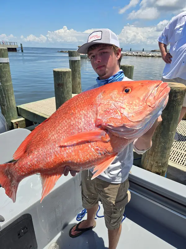 Island Marine Charters