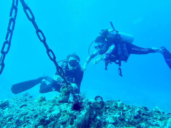 Island Style Diving