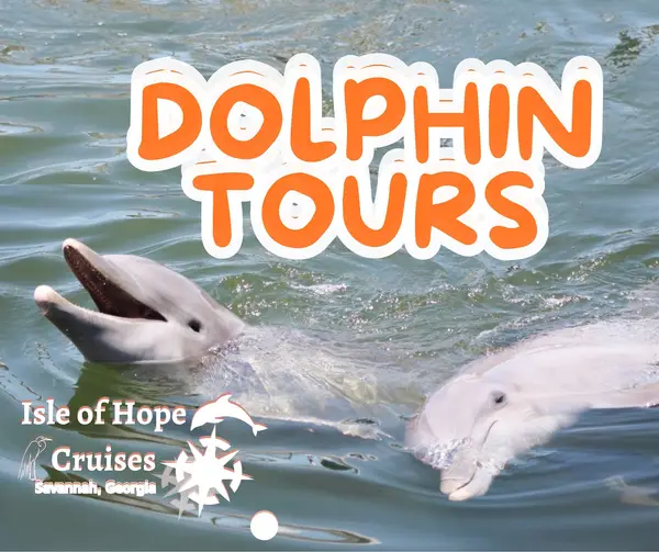 Isle of Hope Cruises