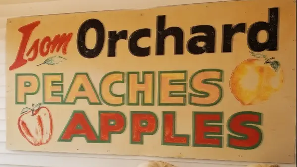 Isom's Orchard, Athens, AL