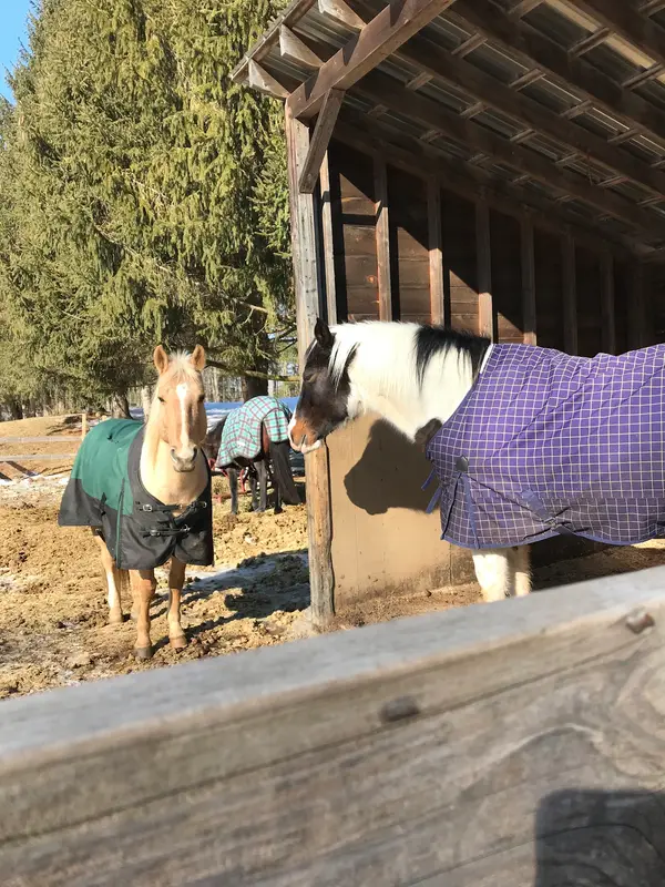 It Takes Two Farm