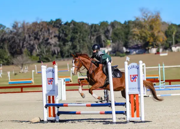 Ivan Drago Equestrian Center, photo 1