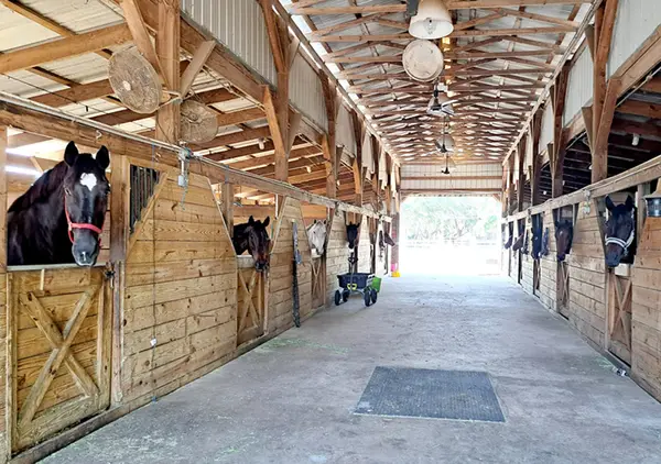 Ivan Drago Equestrian Center, photo 2
