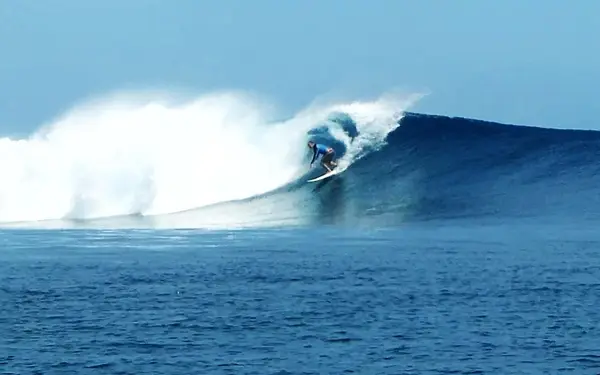 Jackaroo Surfcamp